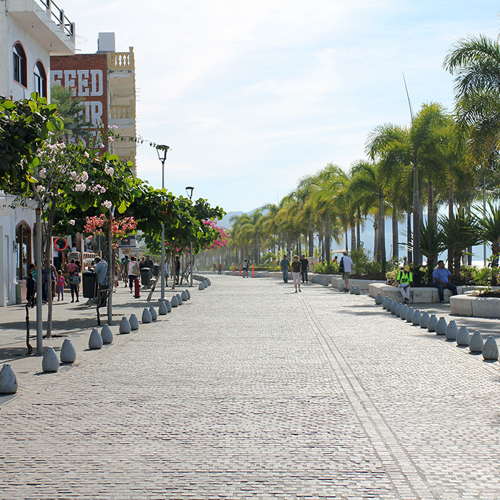 The Top 10 Things to Do in Puerto Vallarta